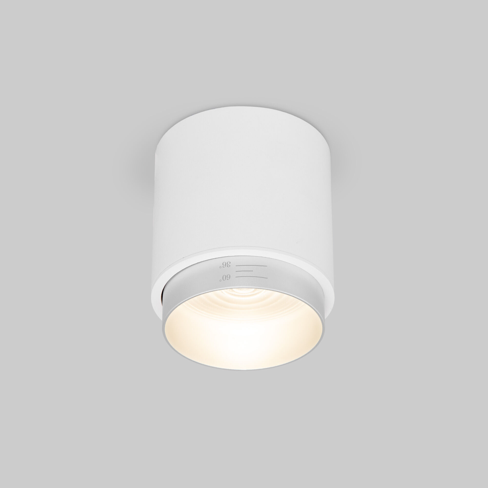 Спот потолочный Elektrostandard Cors 25032/LED 10W 4200K белый/серебро накладной