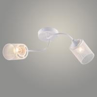 Люстра XA1608/2 WT белый 2х60W E27 d520 h200, HN25