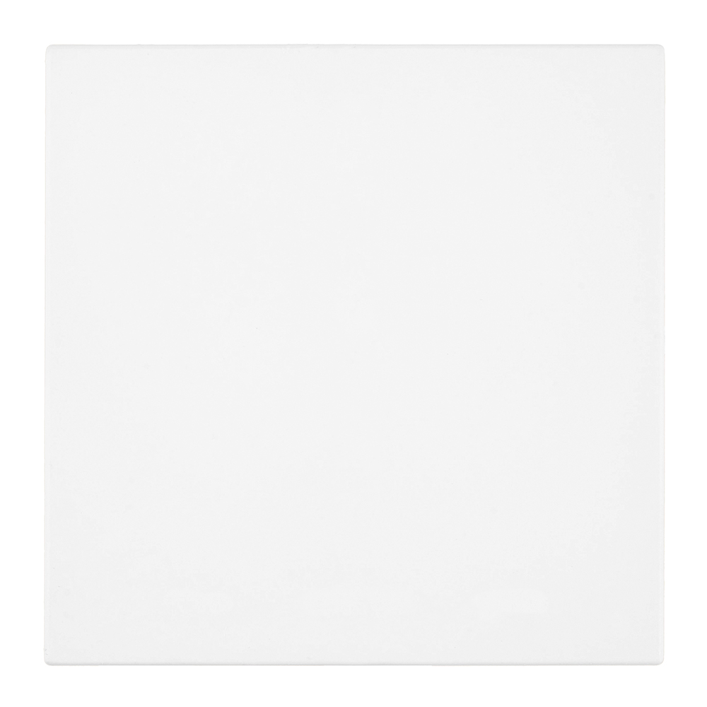 RSW10-3103-01 Выключатель 1-клавишный (механизм) 250В, 10А, серия Мия, белая магнолия