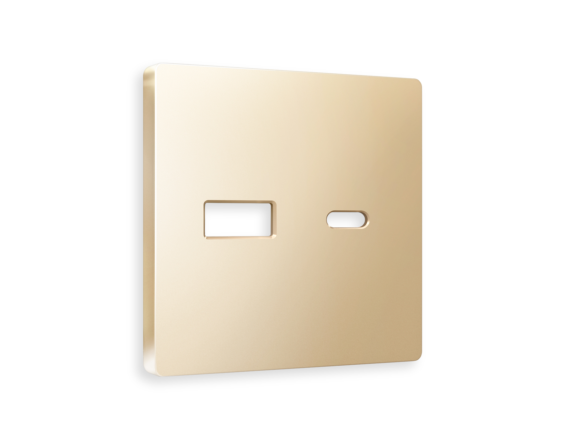 AP6110 Лицевая панель ALFA (Шампань) для розетки 2USB тип A+C QUANT