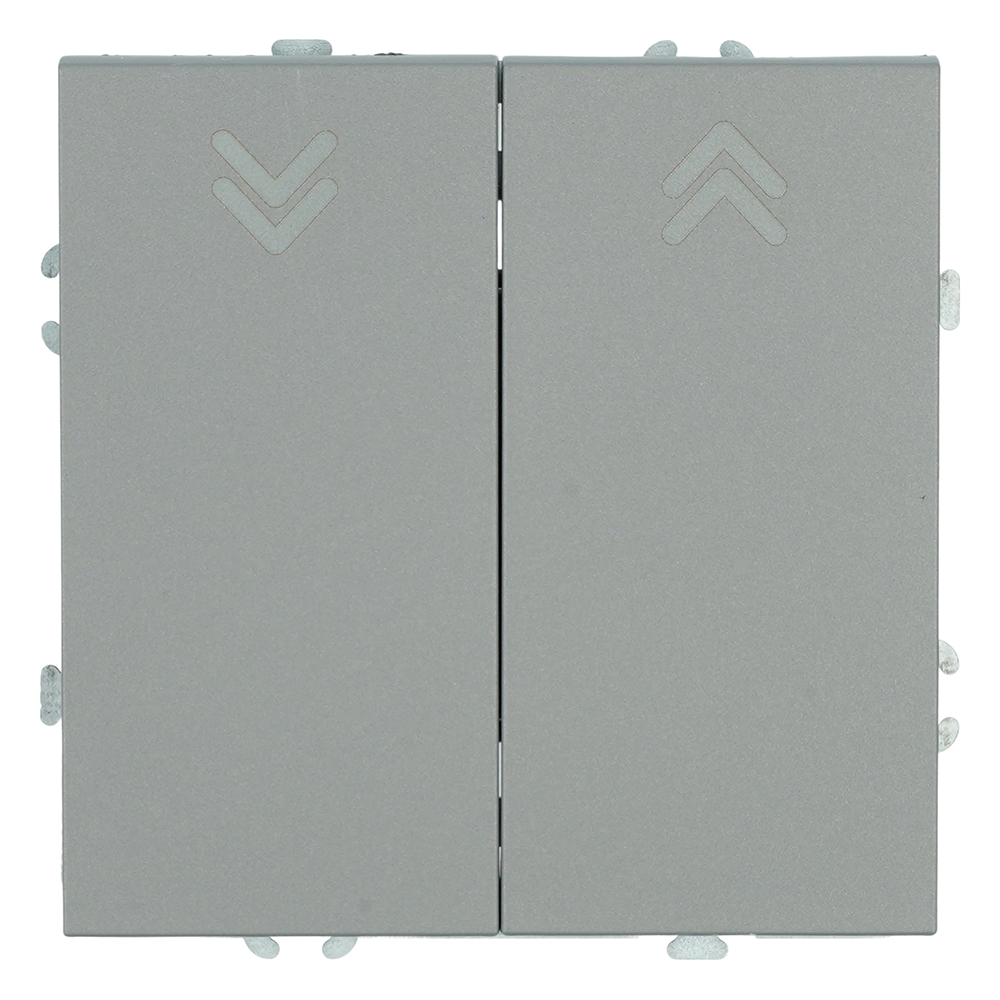 Выключатель 2-клавишный самовозвратный (механизм) 250В 10А серия Эмили RSW10-5113-10 платиново-серый