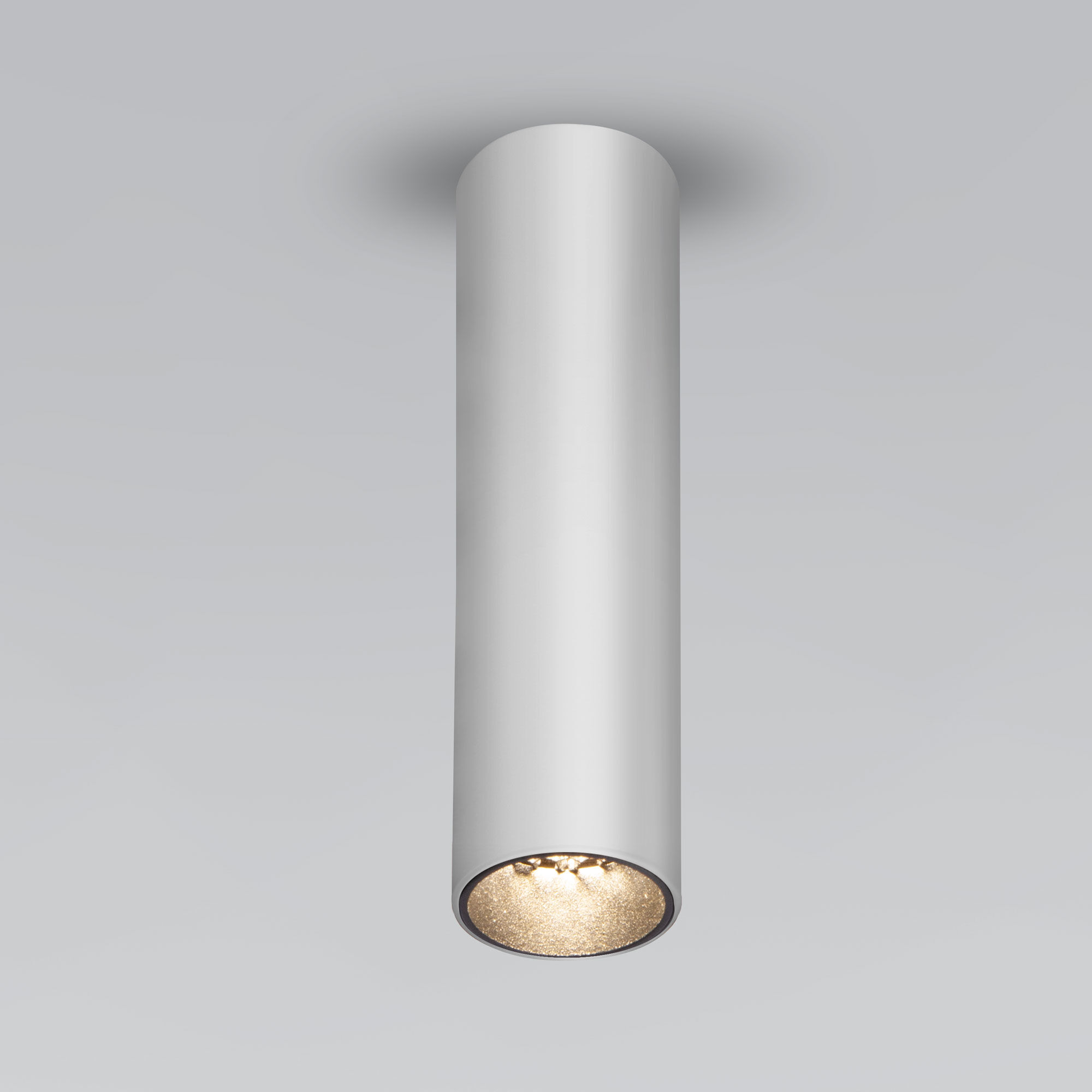 Спот потолочный Elektrostandard Pika 25031/LED 6W 4200K серебро