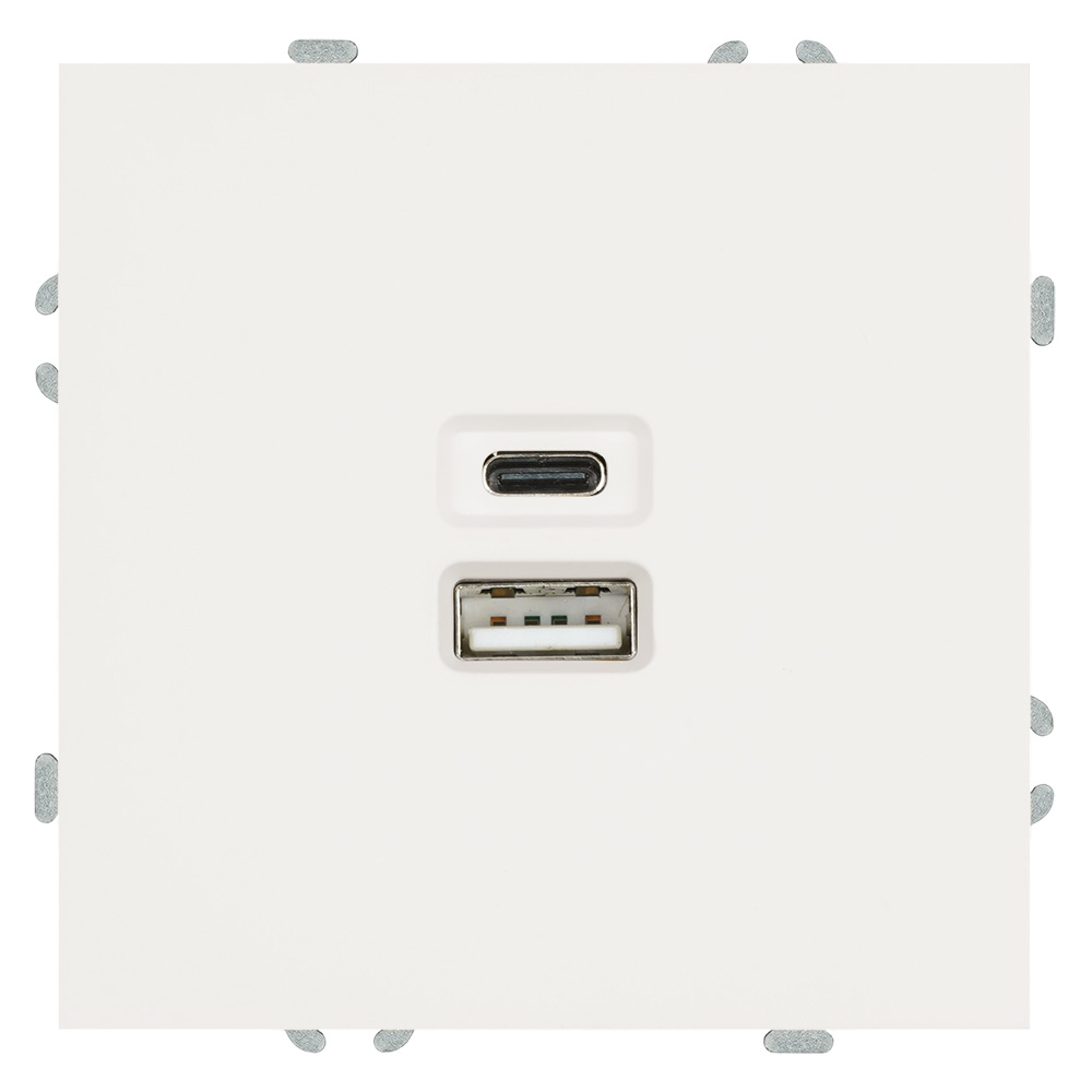 Розетка 2-местная USB + Type C (механизм), 250В, 20W, серия Эмили, RST10-5115-01, белый фарфор