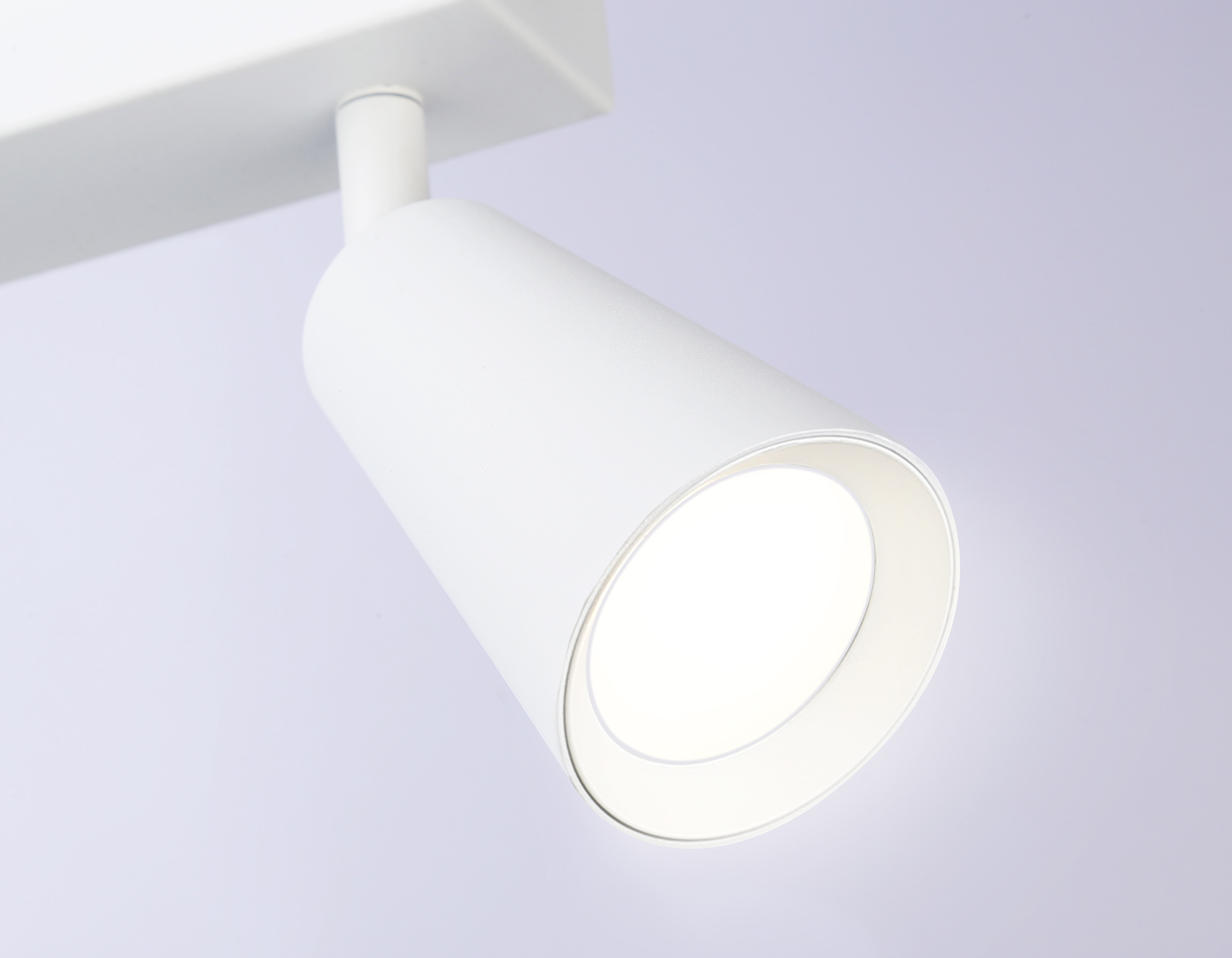 Светильник накладной AMBRELLA TA13145/2 WH белый GU10/2 max 12W 295*60*130 поворотный на планке 
