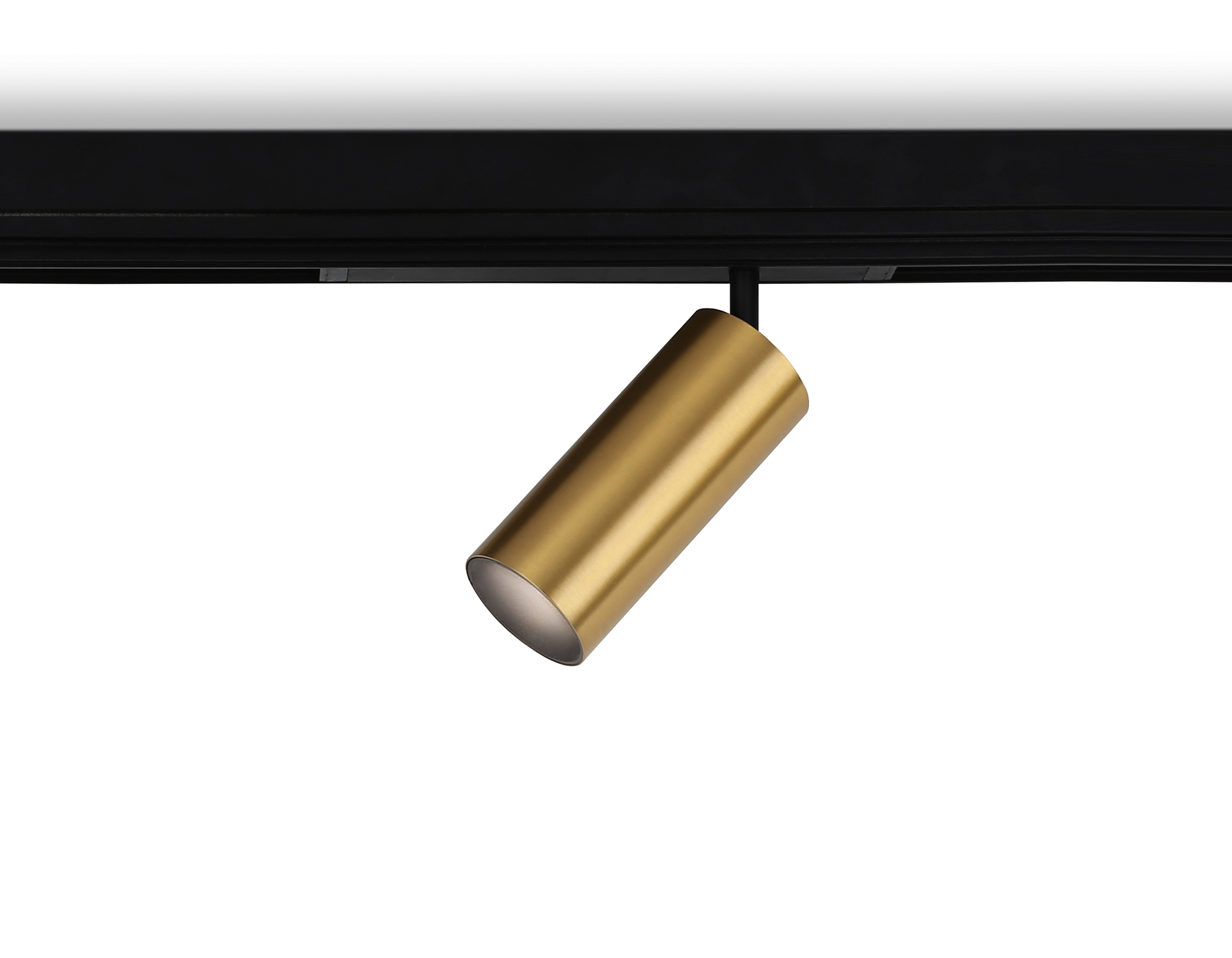Светильник для Magnetic 220V GL1233 GD золото IP20 24W 3000K-6400K 36° D65*140 (Без ПДУ) димм.управ