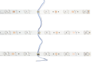 Светодиодная лента SWG-212-12-NW SMD2835 12LED (IP20) нейтральный белый 12В