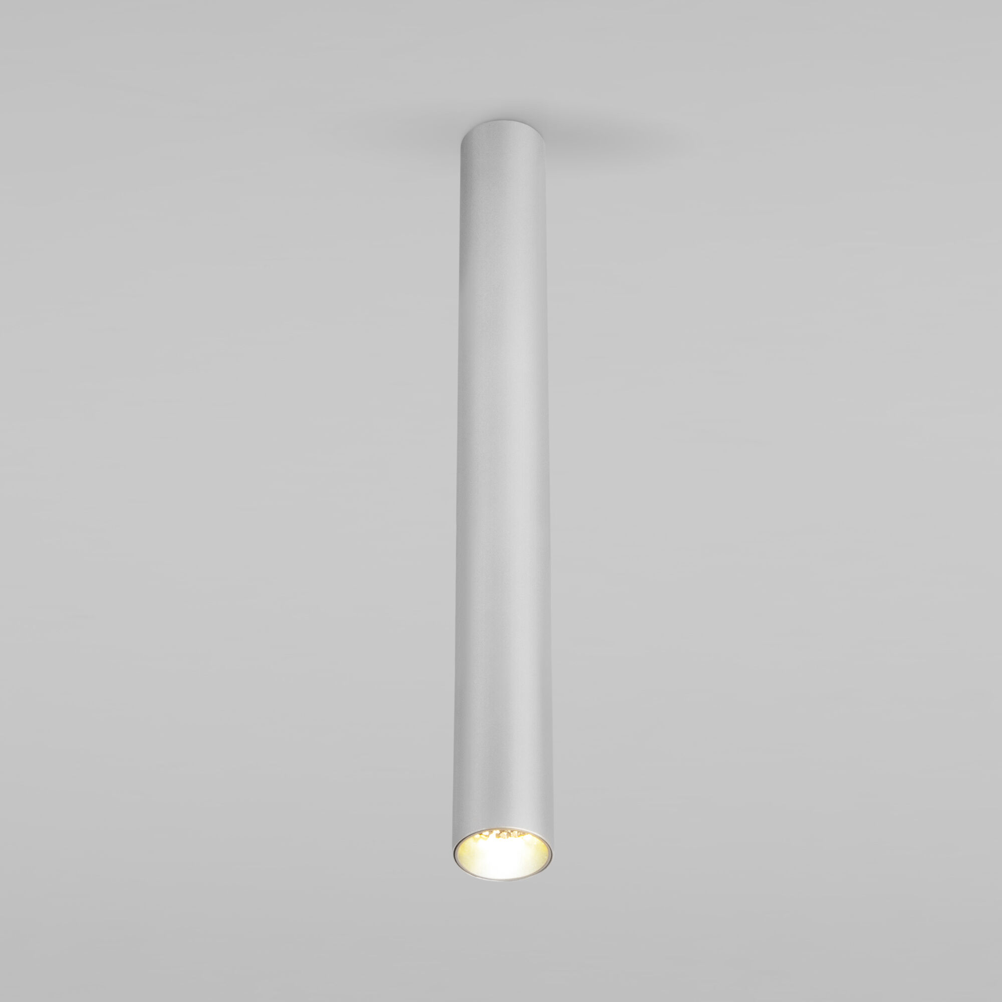 Спот потолочный Elektrostandard Pika 25030/LED 6W 4200K серебро