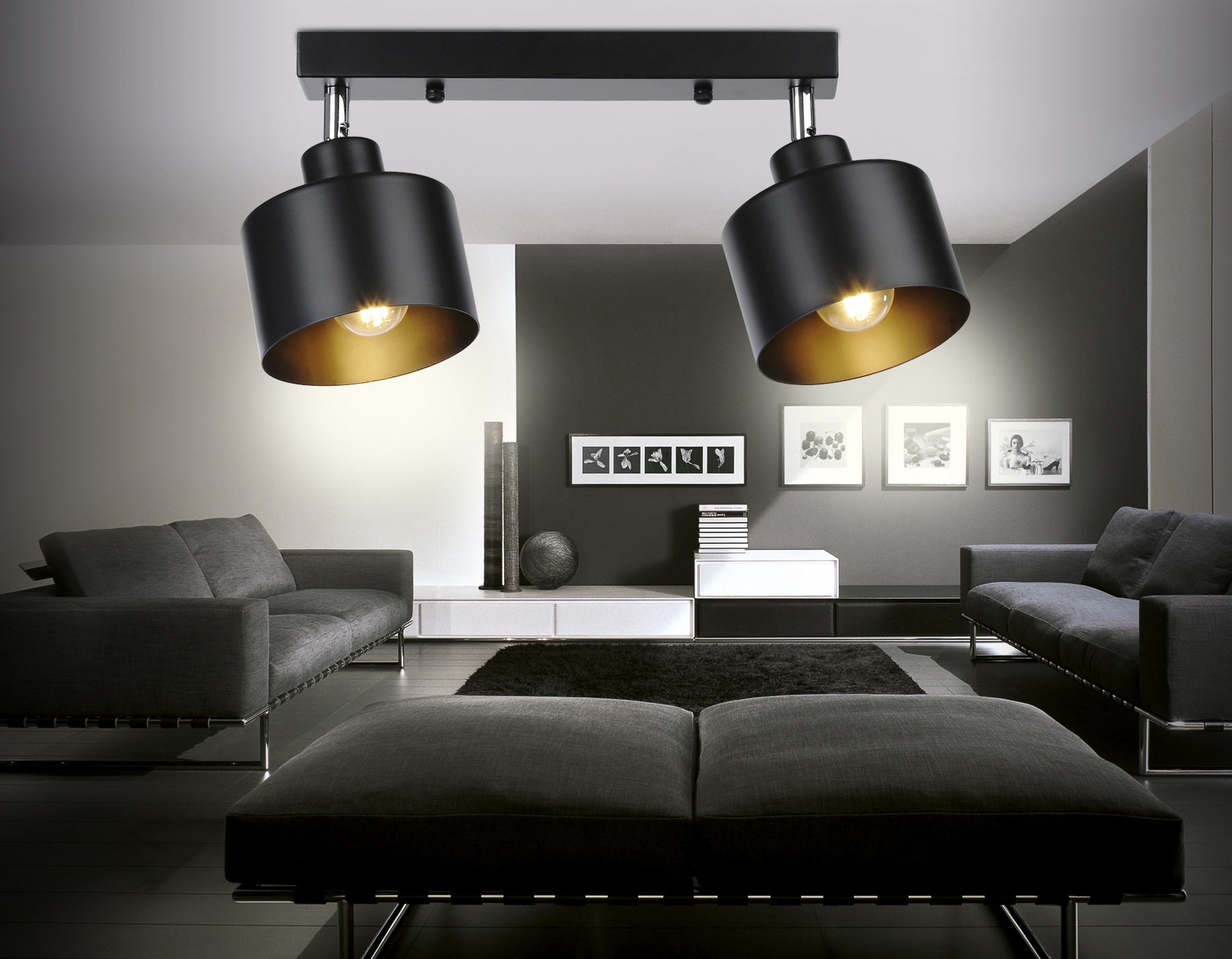 Настенно-потолочный спот в стиле лофт TR8142/2 BK черный E27*2 max 40W 340*120*180