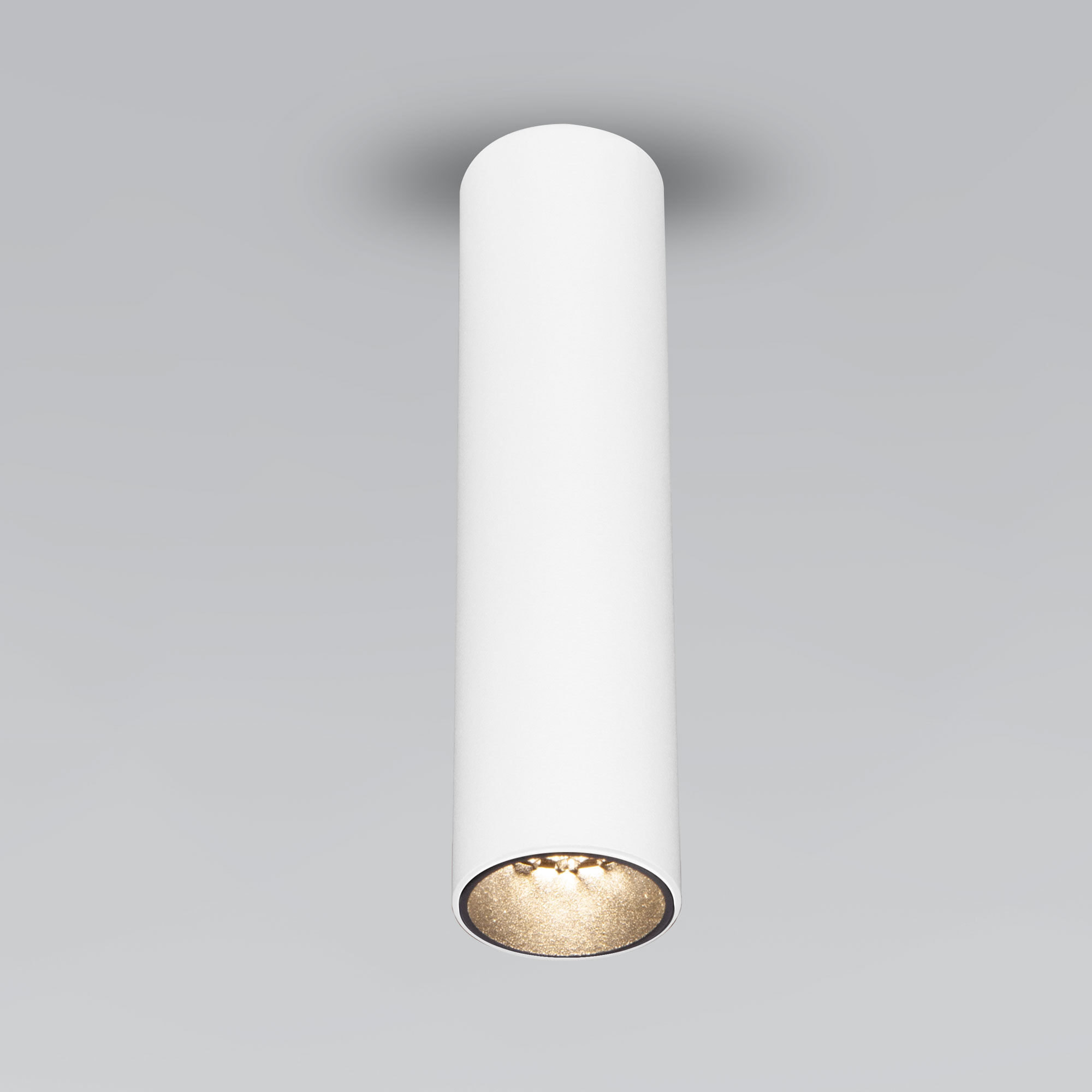 Спот потолочный Elektrostandard Pika 25031/LED 6W 4200K белый