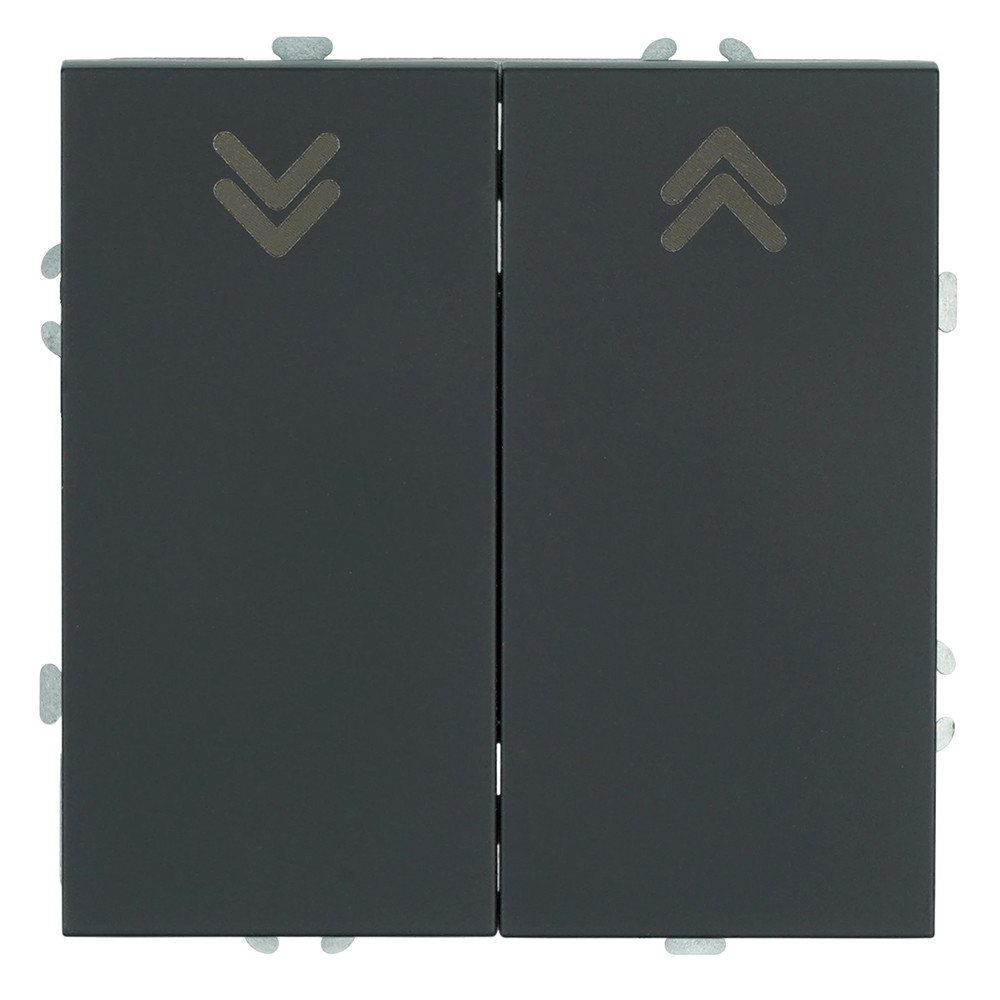 Выключатель 2-клавишный самовозвратный (механизм) 250В 10А серия Эмили RSW10-5113-05 черный уголь