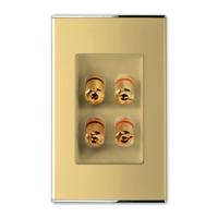 Розетка Аудио-2я, Hi-Fi. Parthenon Gold