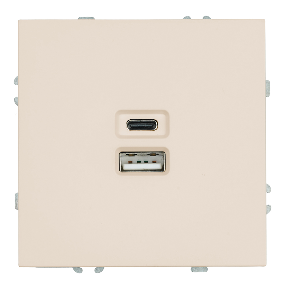 Розетка 2-местная USB + Type C (механизм), 250В, 20W, серия Эмили, RST10-5115-08, кашемир