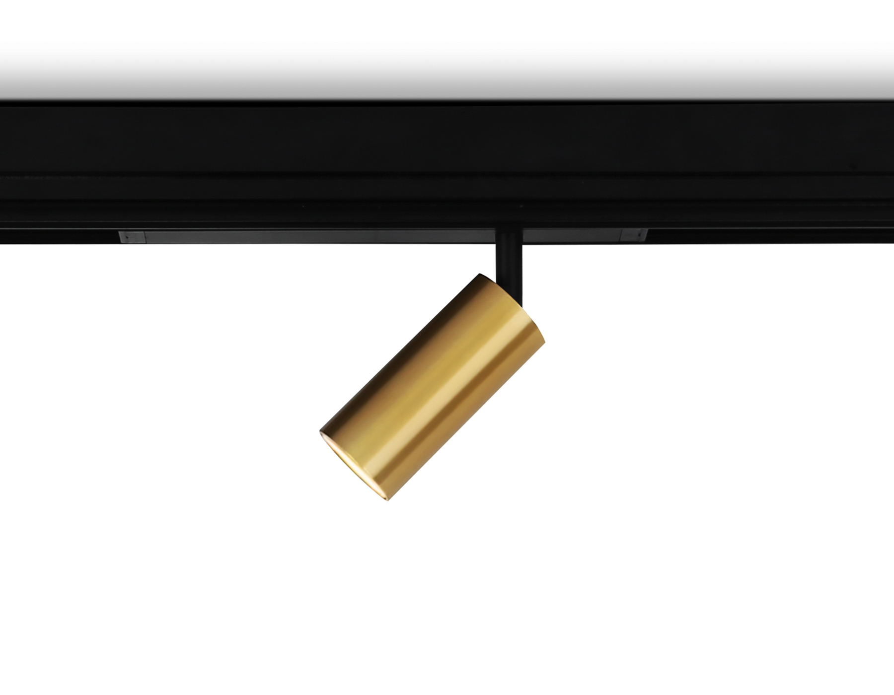 Светильник для Magnetic 220V GL1213 GD золото IP20 12W 3000K-6400K 36° D45*100 (Без ПДУ) димм.управ
