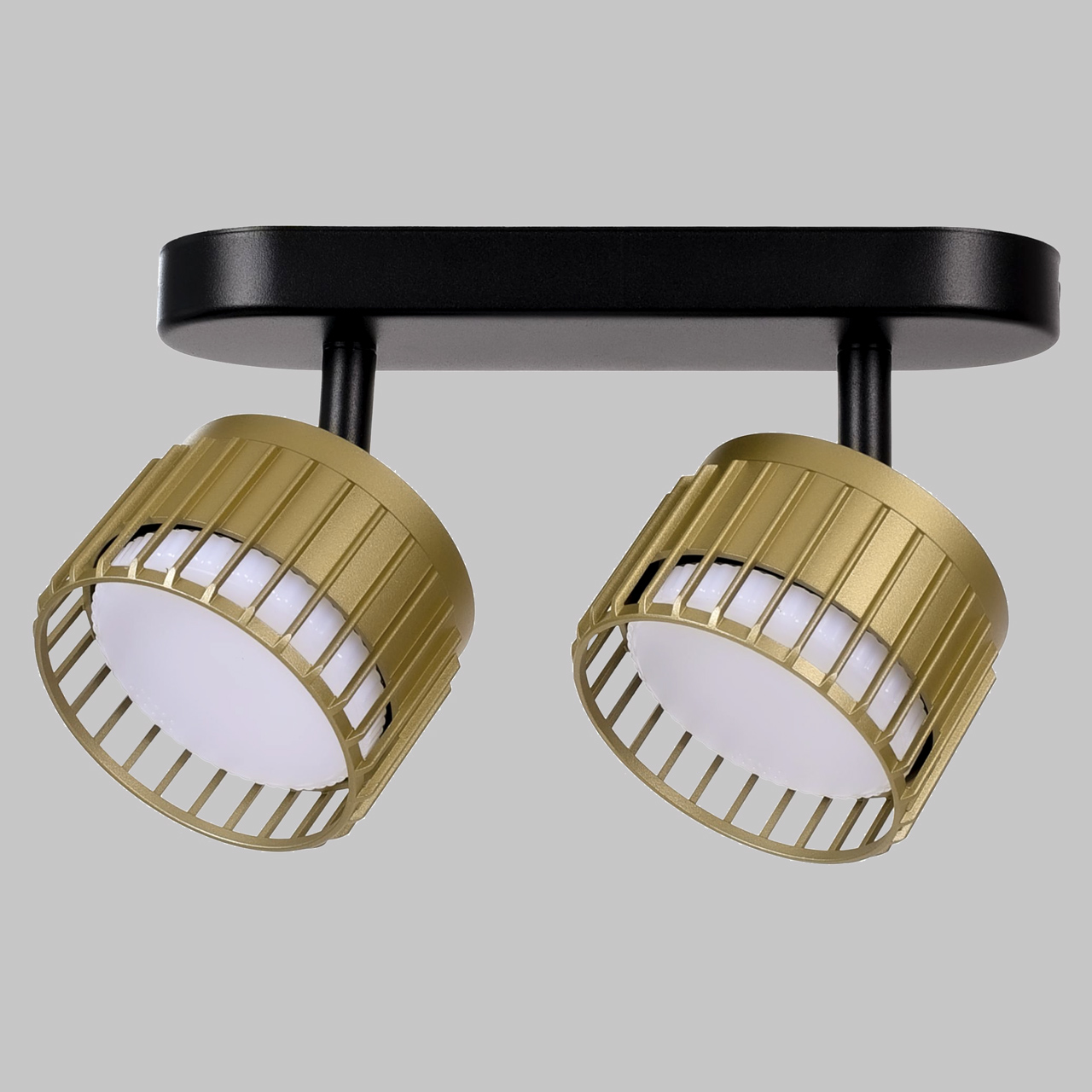 Спот настено-потолочный ИМИДЖ IL.0005.2301-2-BMG GX53 2*12W Черный/Матовое Золото 