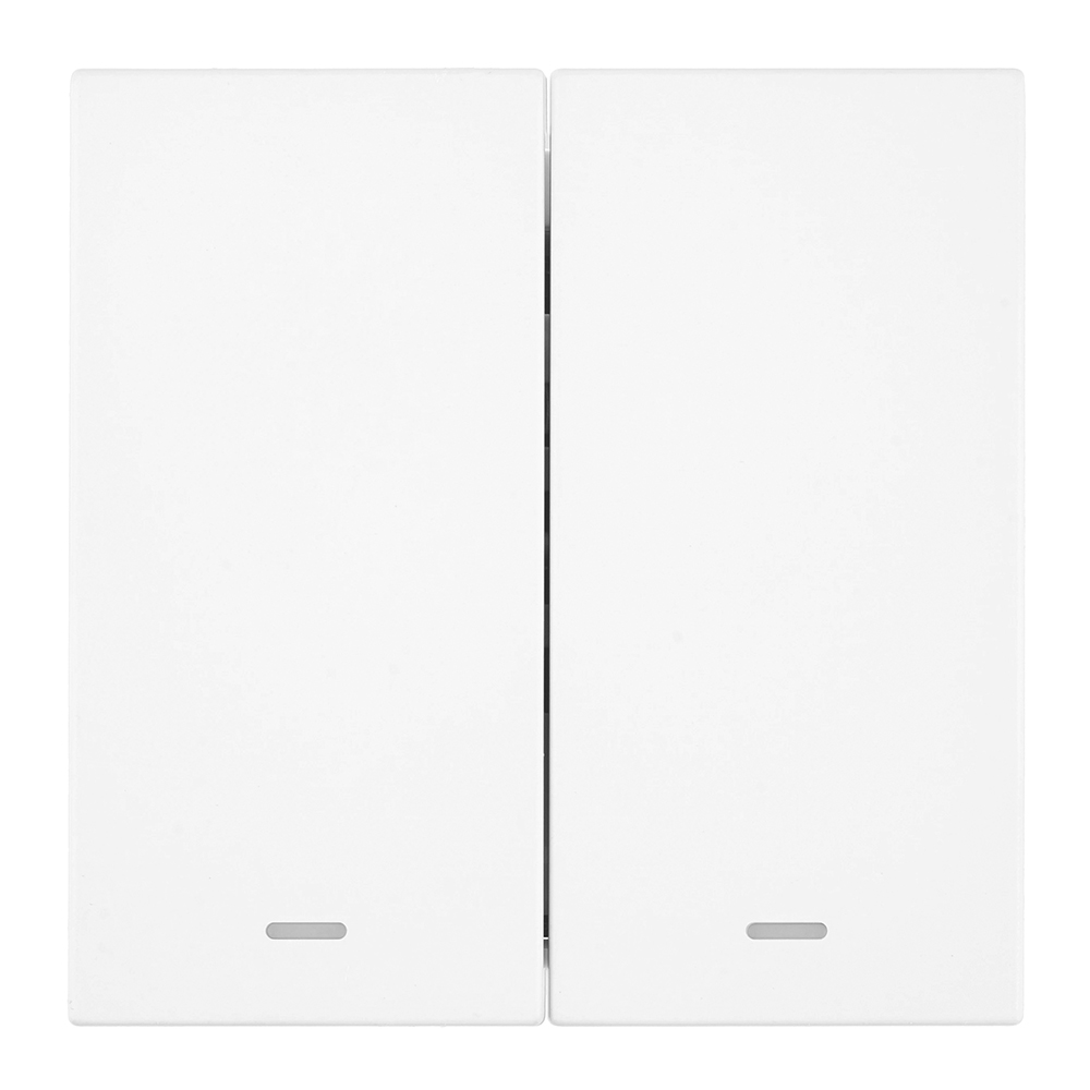 Выключатель 2-клавишный c индикатором (механизм) 250В, 10А, серия Мия, RSW10-3102-01, белая магнолия