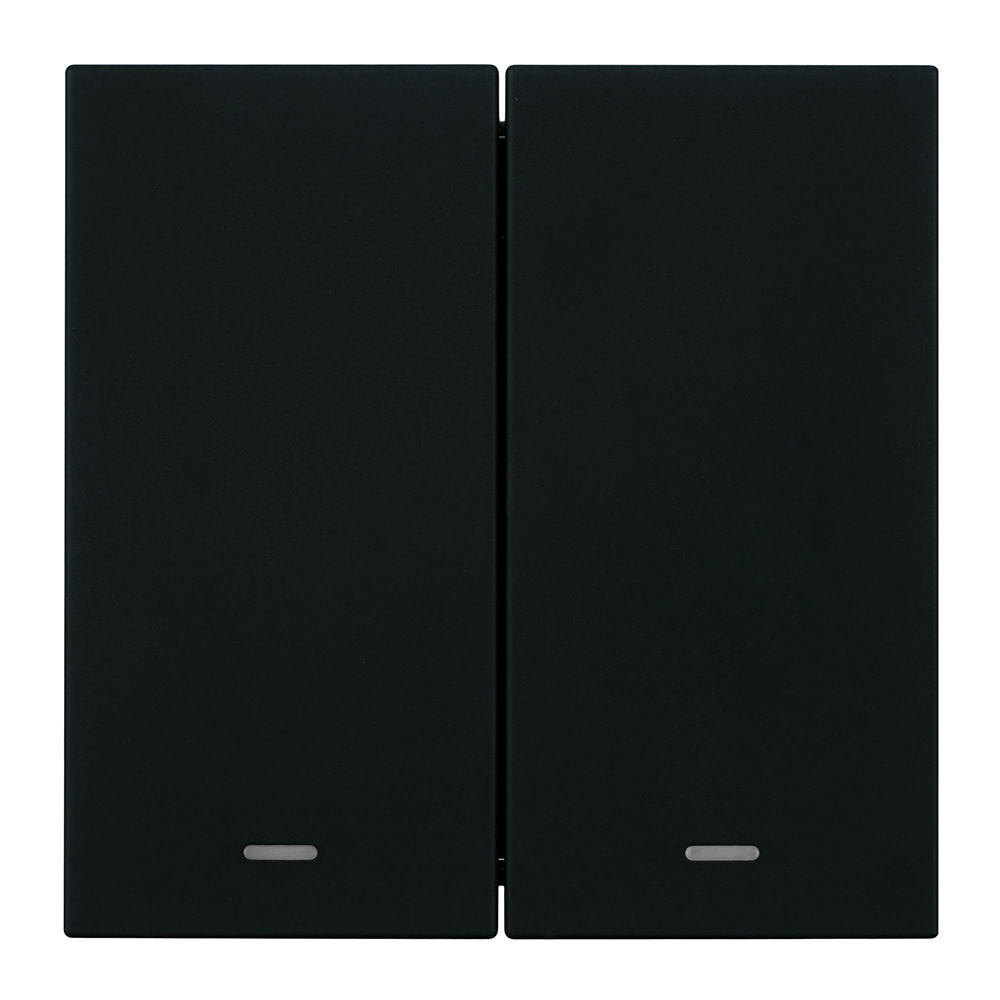 Выключатель 2-клавишный c индикатором (механизм) 250В, 10А, серия Мия, RSW10-3102-05, черный бархат