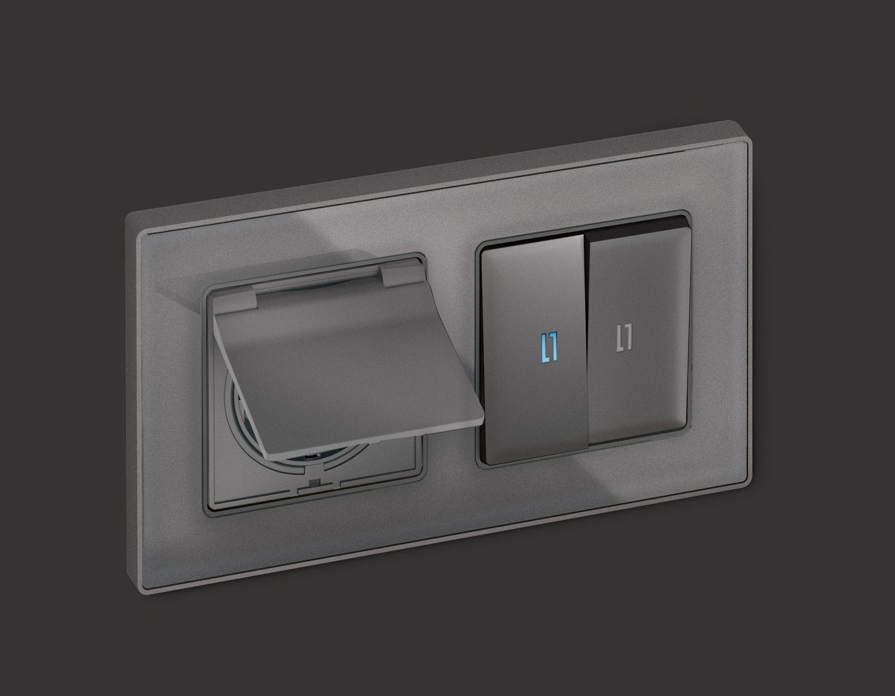 AP6580 Лицевая панель ALFA (Антрацит серый) для электр розетки с/з со шторками и крышкой IP44 QUANT