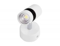 Светильник Ambrella TN101/10W WH/BK LED 4200K белый накладной AMBRELLA