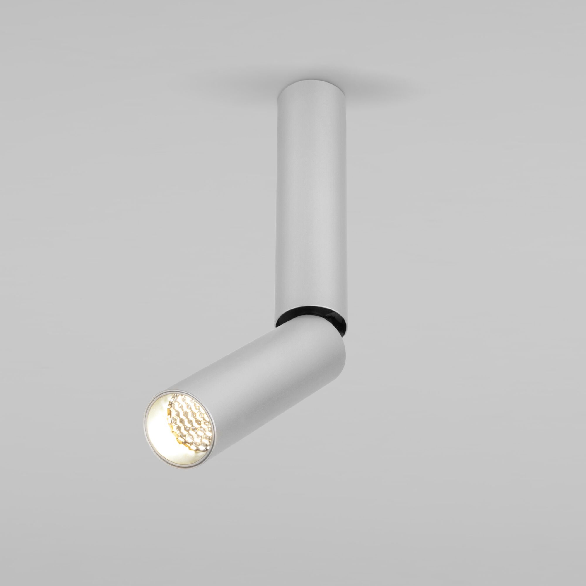 Спот потолочный Elektrostandard Pika 25029/LED 6W 4200K серебро накладной