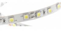 Светодиодная лента LEDSPOWER 5050 60/м(14,4Вт/м) нейтральная ECO IP20