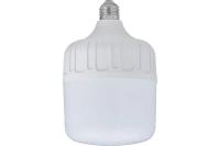 Лампа светодиодная высокой мощности Фарлайт Т125 48 Вт 4000 К Е27/E40