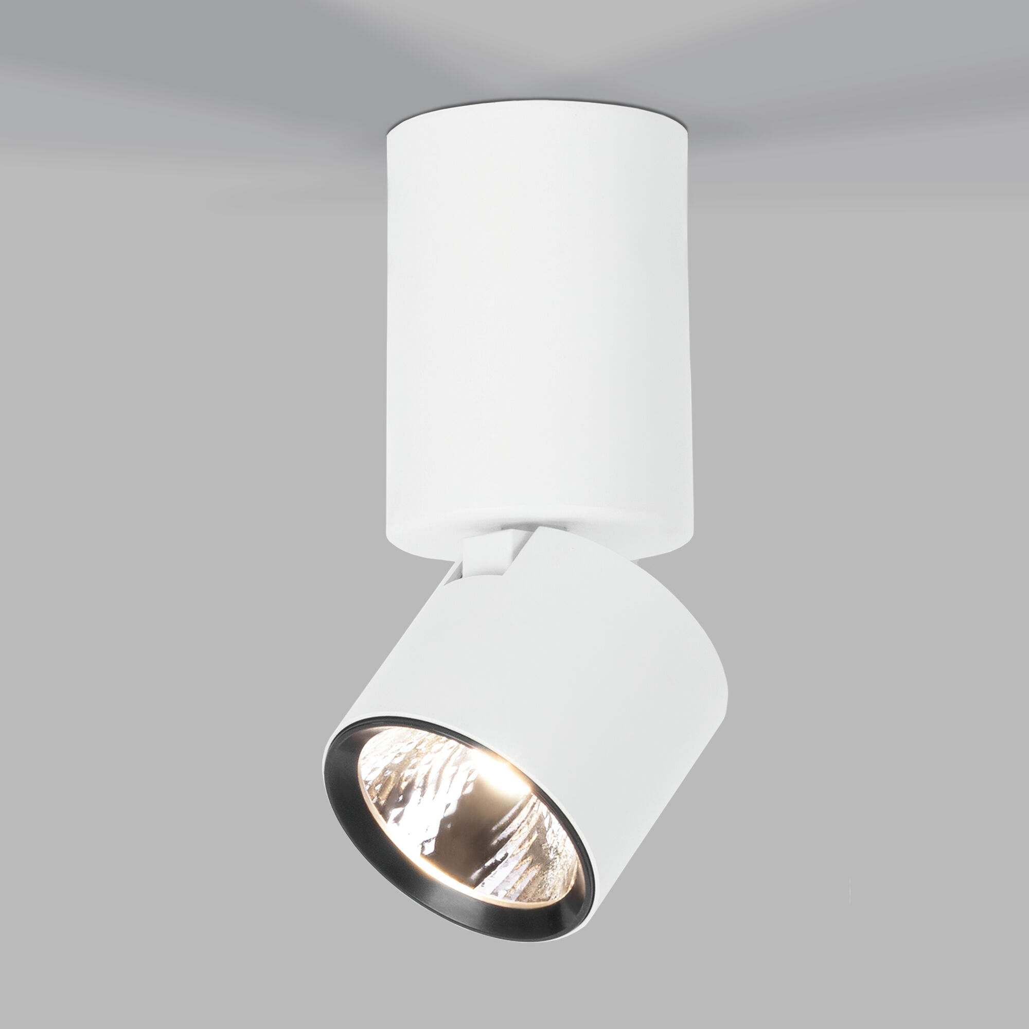 Спот потолочный Elektrostandard 25042/LED 10W 4000K белый 25042/LED