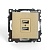 Розетка (механизм) 2-местная USB, серия Катрин, GLS10-7115-08, золото  2,1А