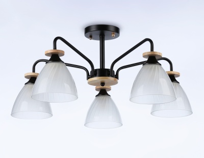 Светильник подвесной TR9571/5 BK/FR черный/белый матовый E27/5 max 40W D620*250