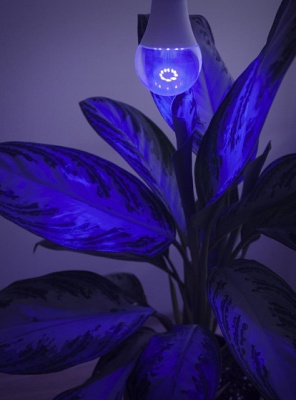 Фитолампа светодиодная А60 14Вт два режима UVA+IR E27 Фарлайт