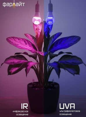 Фитолампа светодиодная А60 14Вт два режима UVA+IR E27 Фарлайт