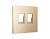 AP6121 Лицевая панель ALFA (Шампань) для компьютерной/телефонной двойной розетки RJ-45/RJ-11 QUANT
