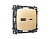 MO611010 Комплект механизма розетки OMEGA Шампань 2USB A+C 20W быстрая заряд QUANT (OP6110,VM177)