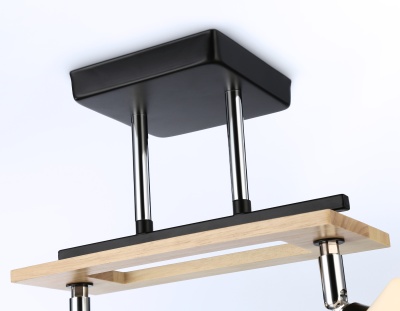 Светильник подвесной TR9503/2 BK/CH/FR черный/хром/белый матовый E27/2 max 40W 510*100*270