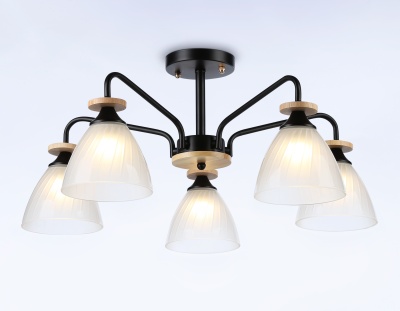 Светильник подвесной TR9571/5 BK/FR черный/белый матовый E27/5 max 40W D620*250