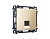 MA612010 Комплект механизма компьютер розетки ALFA Шампань RJ-45(8P8C) с шторкой QUANT(AP6120,VM188)