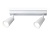 Светильник накладной AMBRELLA TA13145/2 WH белый GU10/2 max 12W 295*60*130 поворотный на планке 