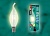HCL-42/FR/E14 flame