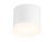 Светильник накладной AMBRELLA TN5353 WH белый GX53 D82*70 с акрилом