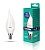 Лампа CAMELION LED10-CW35/865/E14 220V 10W