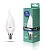 Лампа CAMELION LED8-CW35/865/E14 220V 8W