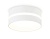 Светильник накладной AMBRELLA TN5391 SWH/FR белый песок/белый матовый GX53 IP44 D85*55 с акрилом
