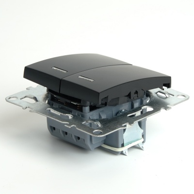 Выключатель 2-клавишный с индикатором (механизм), серия Эрна, PSW10-9102-03, черный