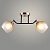 Люстра A4344/2 BK+FGD черный/золото 2x60W E27 d530 h220, QH24