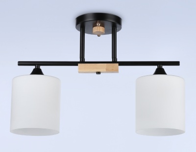 Светильник подвесной TR9543/2 BK/FR черный/белый матовый E27/2 max 40W 435*120*280