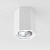 Спот потолочный Elektrostandard 25036/LED накладной