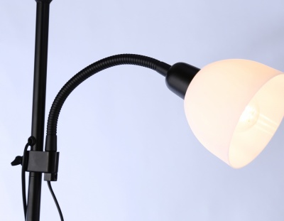 Светильник напольный с выключателем на проводе TR97629 BK черный E27+E14 max 40W D245/100*1770