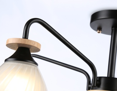 Светильник подвесной TR9571/5 BK/FR черный/белый матовый E27/5 max 40W D620*250