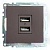 Розетка (механизм) 2-местная USB, серия Катрин, GLS10-7115-04, шоколад 250В, 2,1А