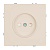 Розетка 1-местная с защитной шторкой (механизм),  б/з, 250В, 16А, серия Эмили, RST16-5109-08 кашемир