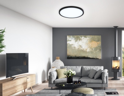 Cветильник Ambrella FZ1957 BK черный IP54 26W 5000K D370*15 (Без ПДУ)